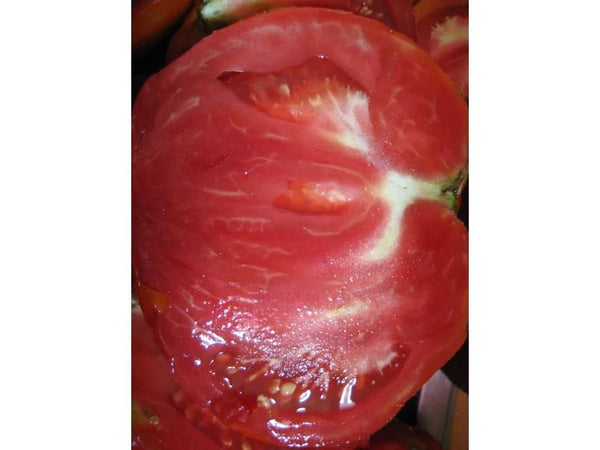 Stone Ridge Tomato Art Pack Seeds