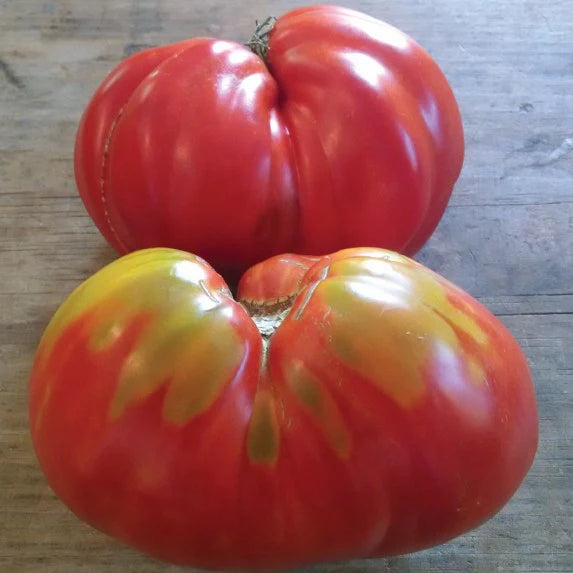 Stone Ridge Tomato Art Pack Seeds