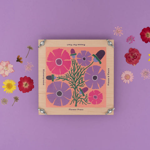 Cosmos | Flower Press