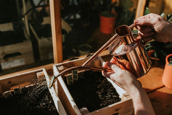 The Rowley Ripple Watering Can | Two Pint Copper