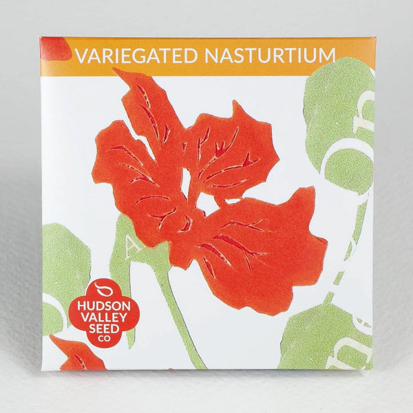 Variegated Nasturtium Art Pack Seeds