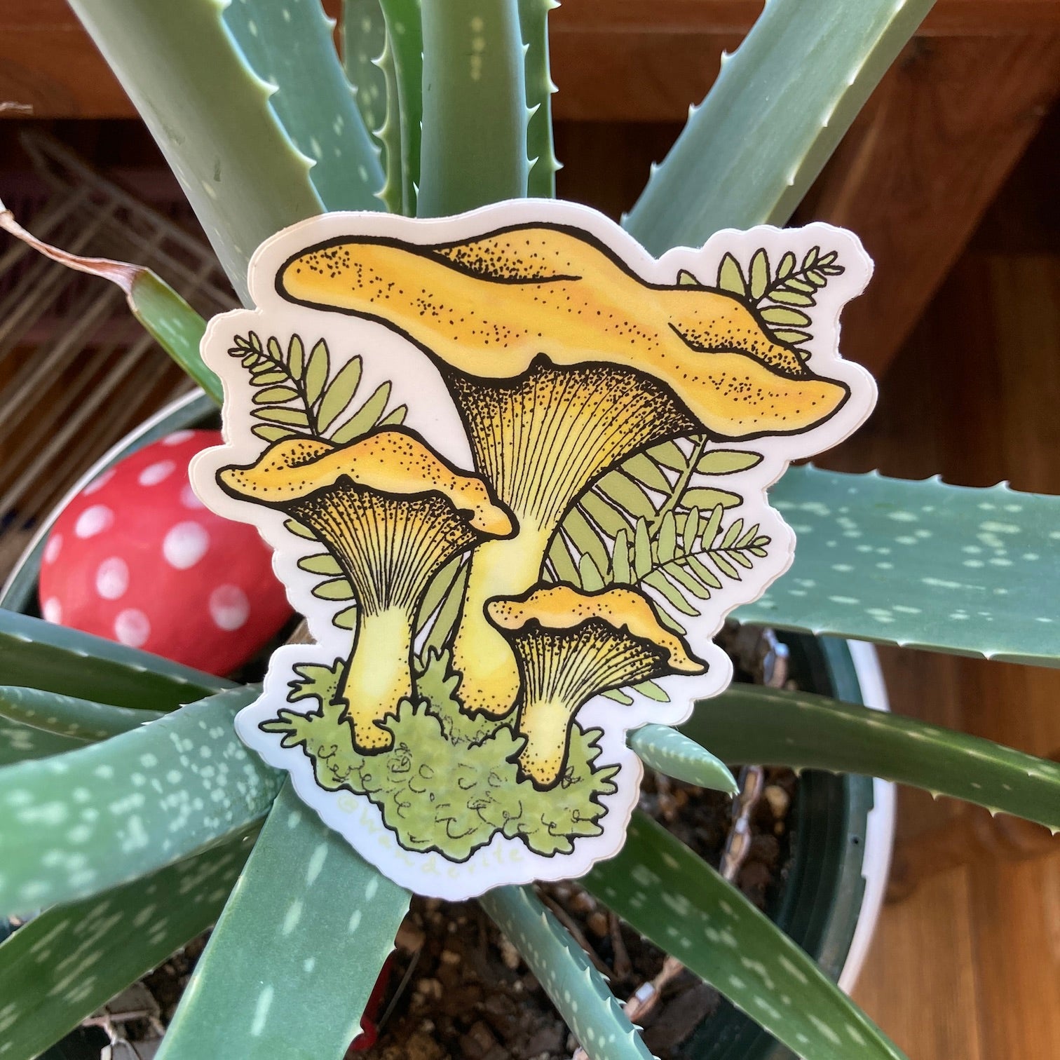 Chanterelle Mushroom Sticker