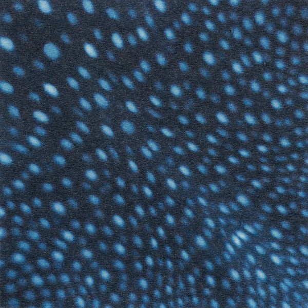 RealFake Ocean Origami | Whale Shark, Rockhopper Penguin, Ringed Seal
