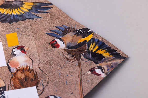 Golden Flight Pigeon Folding Letter Set