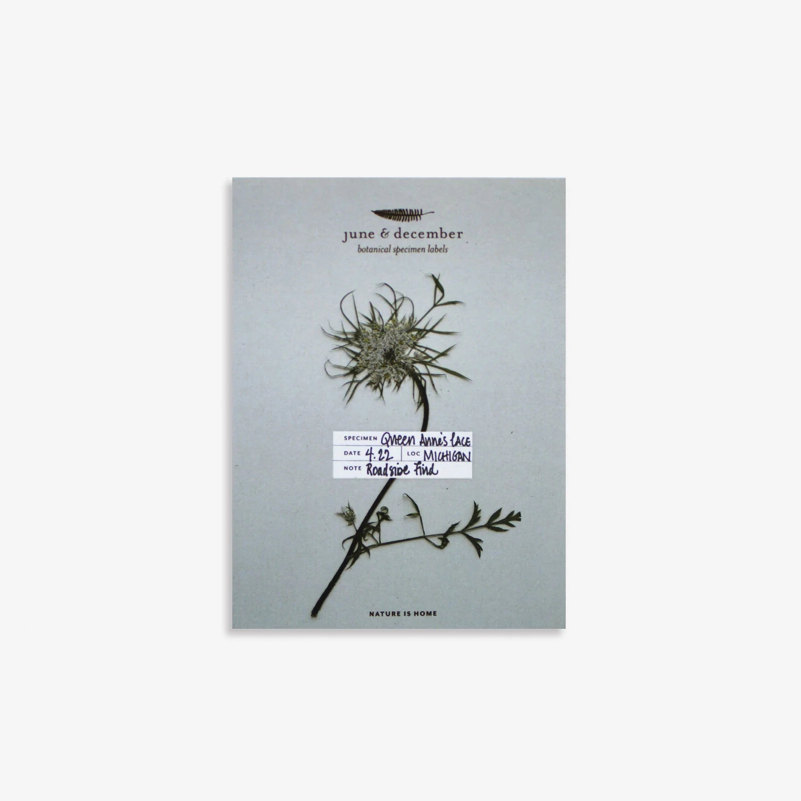 Botanical Specimen Labels