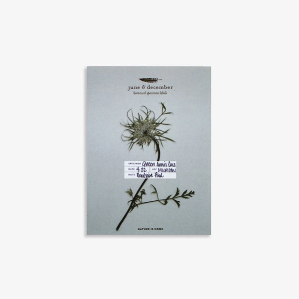 Botanical Specimen Labels