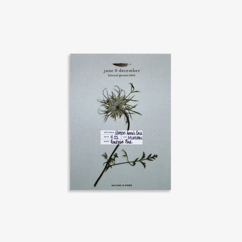 Botanical Specimen Labels