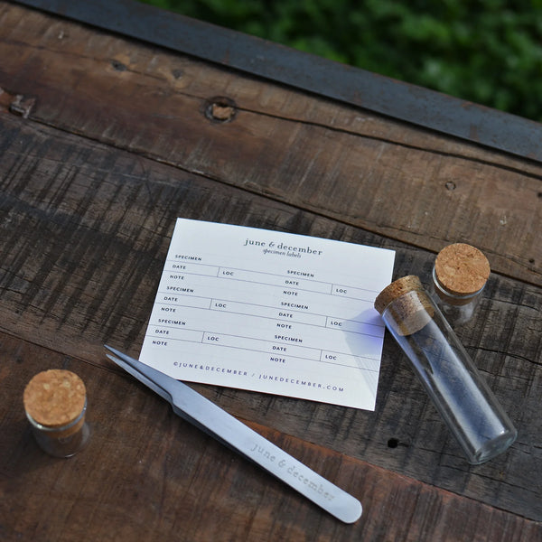 Botanical Specimen Labels