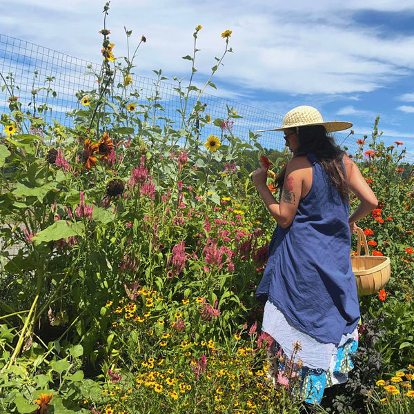 Cottage Garden Mix Art Pack Seeds