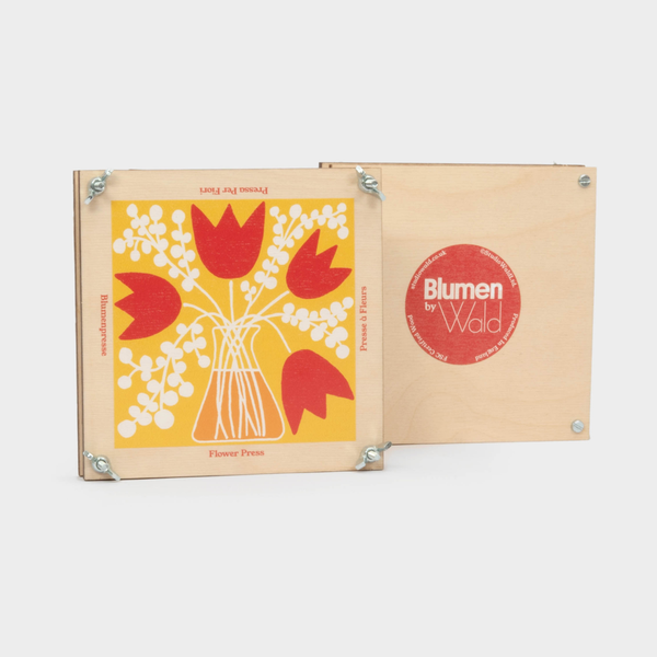 Tulip | Flower Press