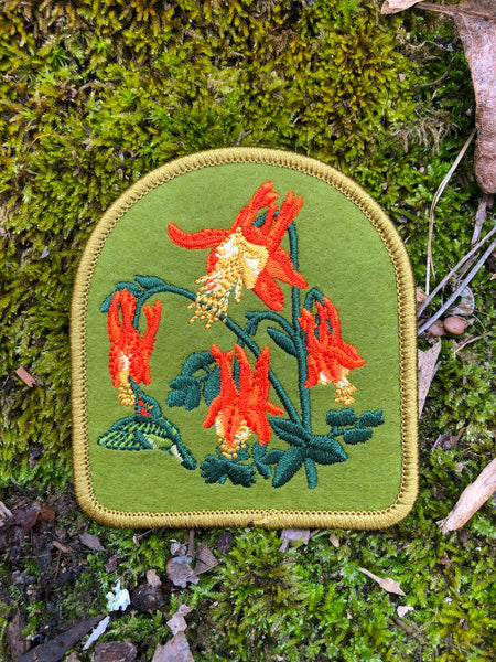 Eastern Columbine Patch