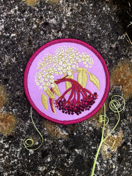 Common Elderberry | Indigenous Plant Patch