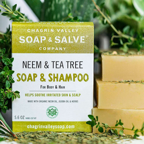 Neem & Tea Tree Soap & Shampoo Bar