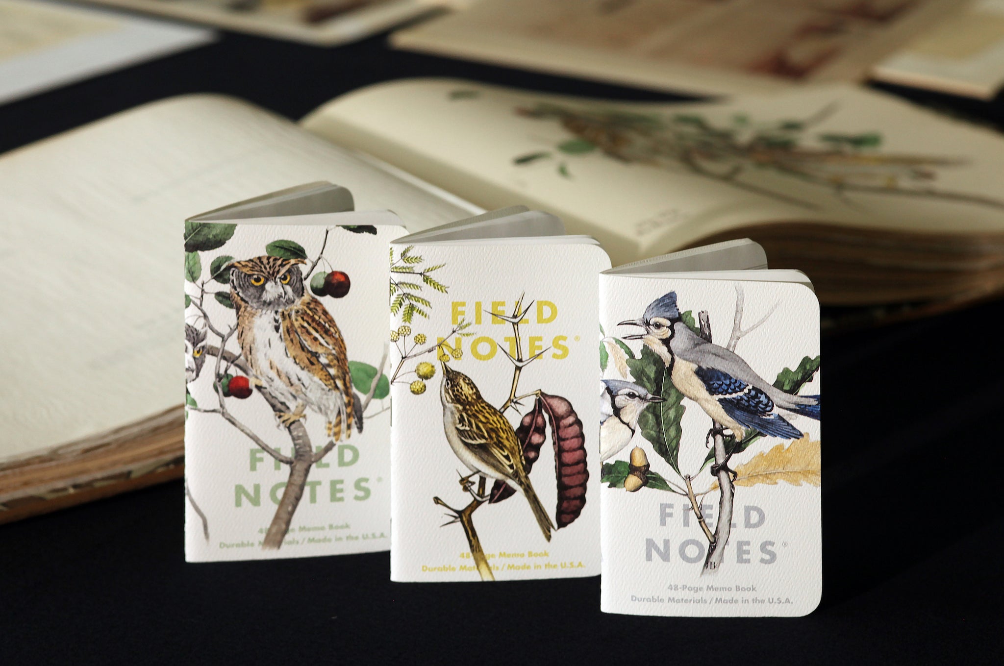 Birds and Trees of North America - Pack A | Field Notes Memo Book