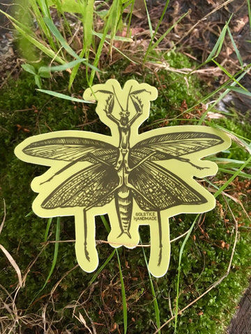 Praying Mantis Sticker