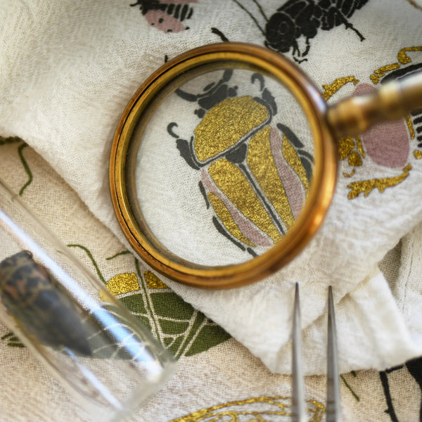 Small Wonders Kitchen Towel