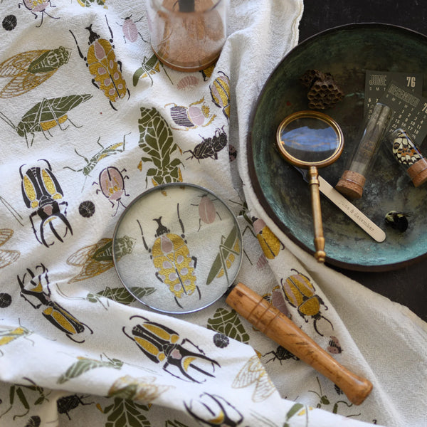Small Wonders Kitchen Towel