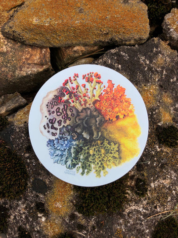 Lichen Spectrum Sticker
