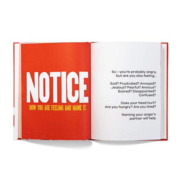 A Kids Book About Anger