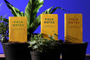 Signs of Spring | Field Notes Memo Book