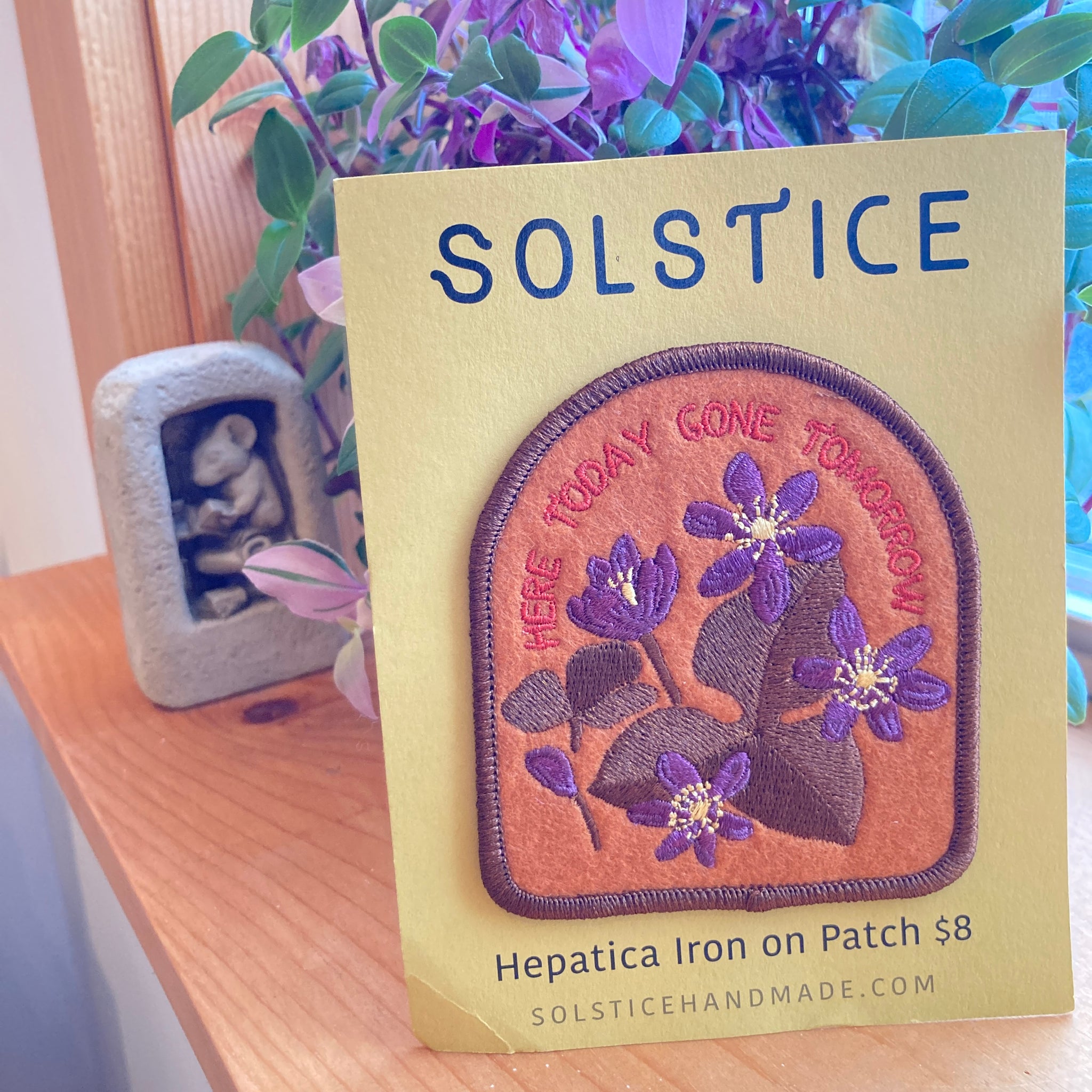Hepatica | Indigenous Plant Patch