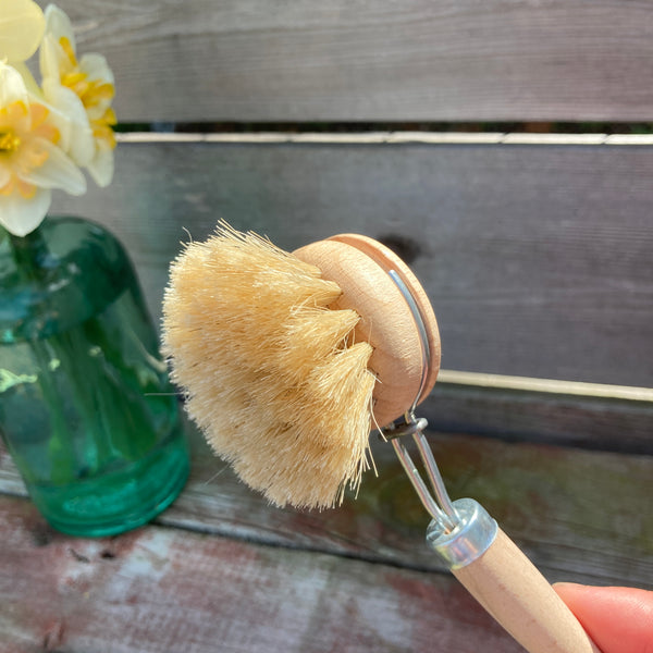 Everyday Dishbrush