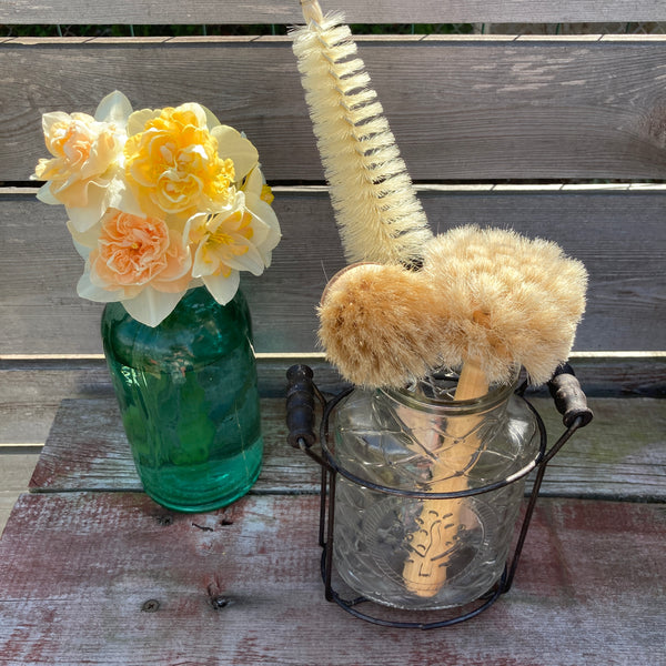 Everyday Dishbrush