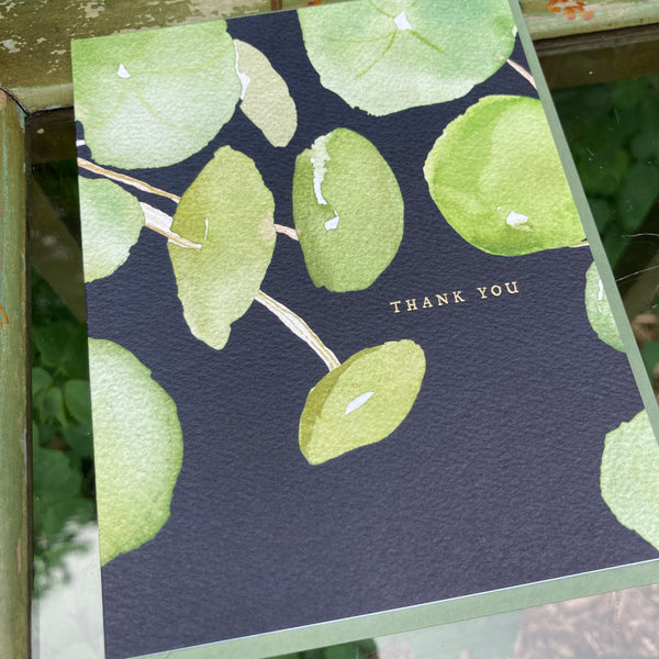 Pancake Plant Thank You | Boxed Notecards