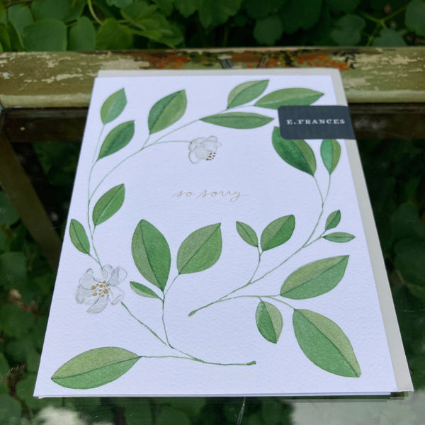 Magnolia Condolence