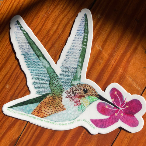 Rufous Hummingbird with Fireweed Sticker