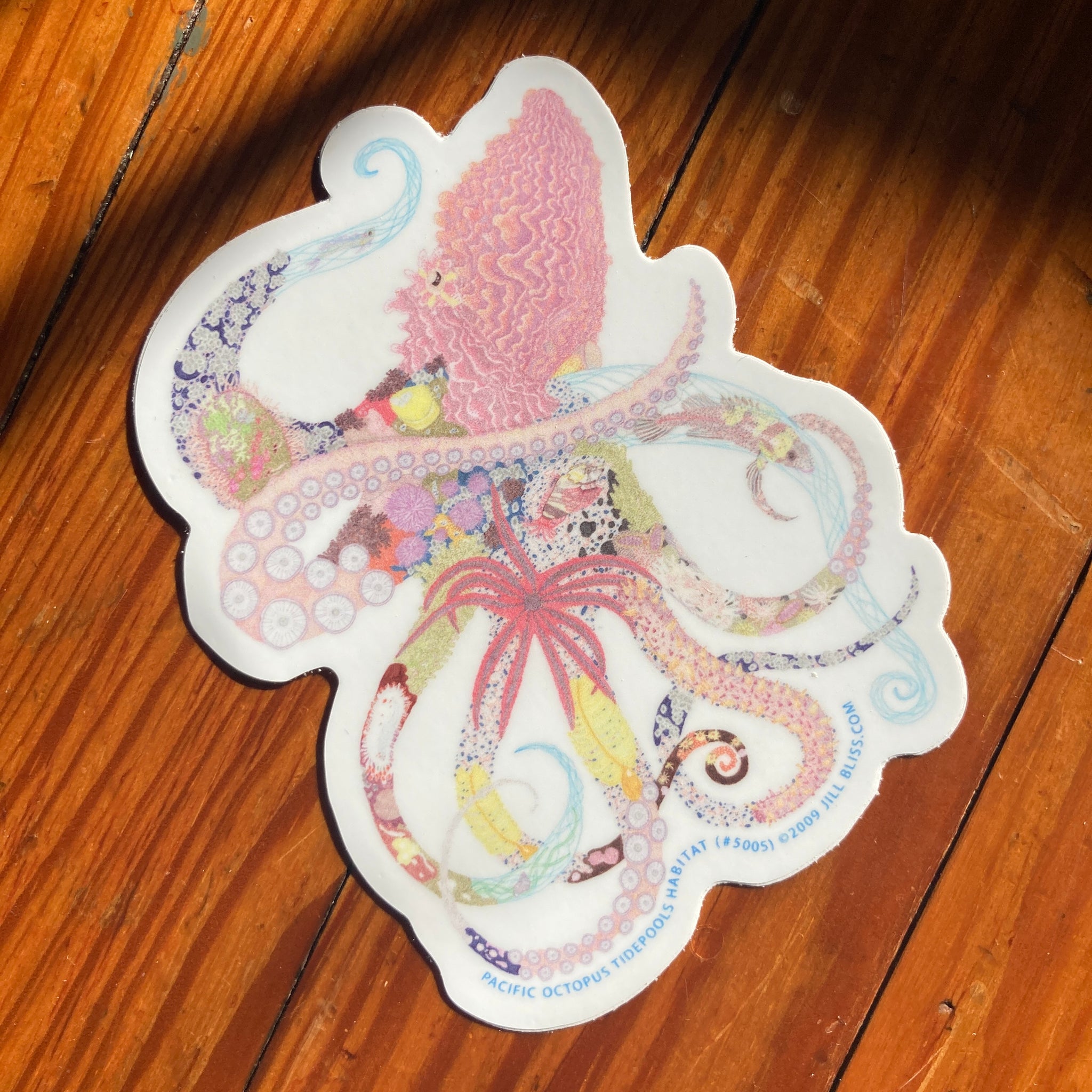 Pacific Octopus Tidepools Sticker