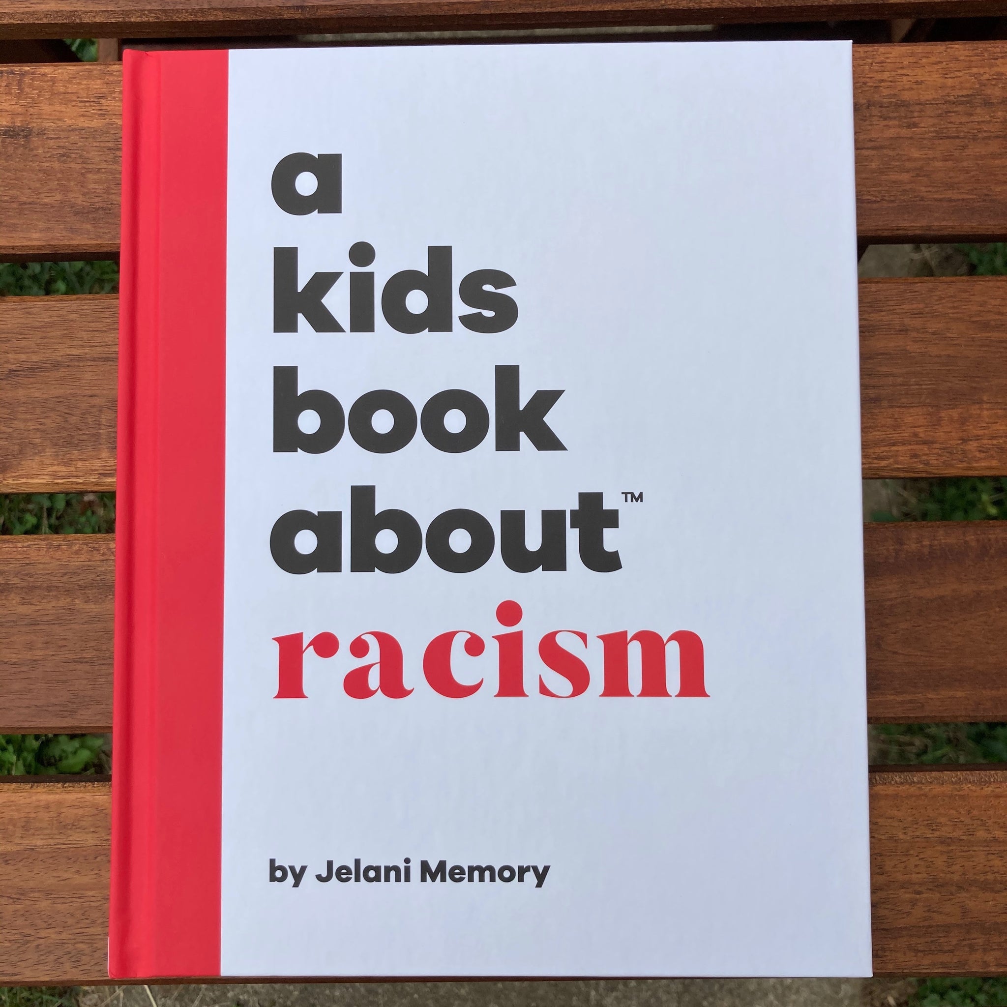 A Kids Book About Racism
