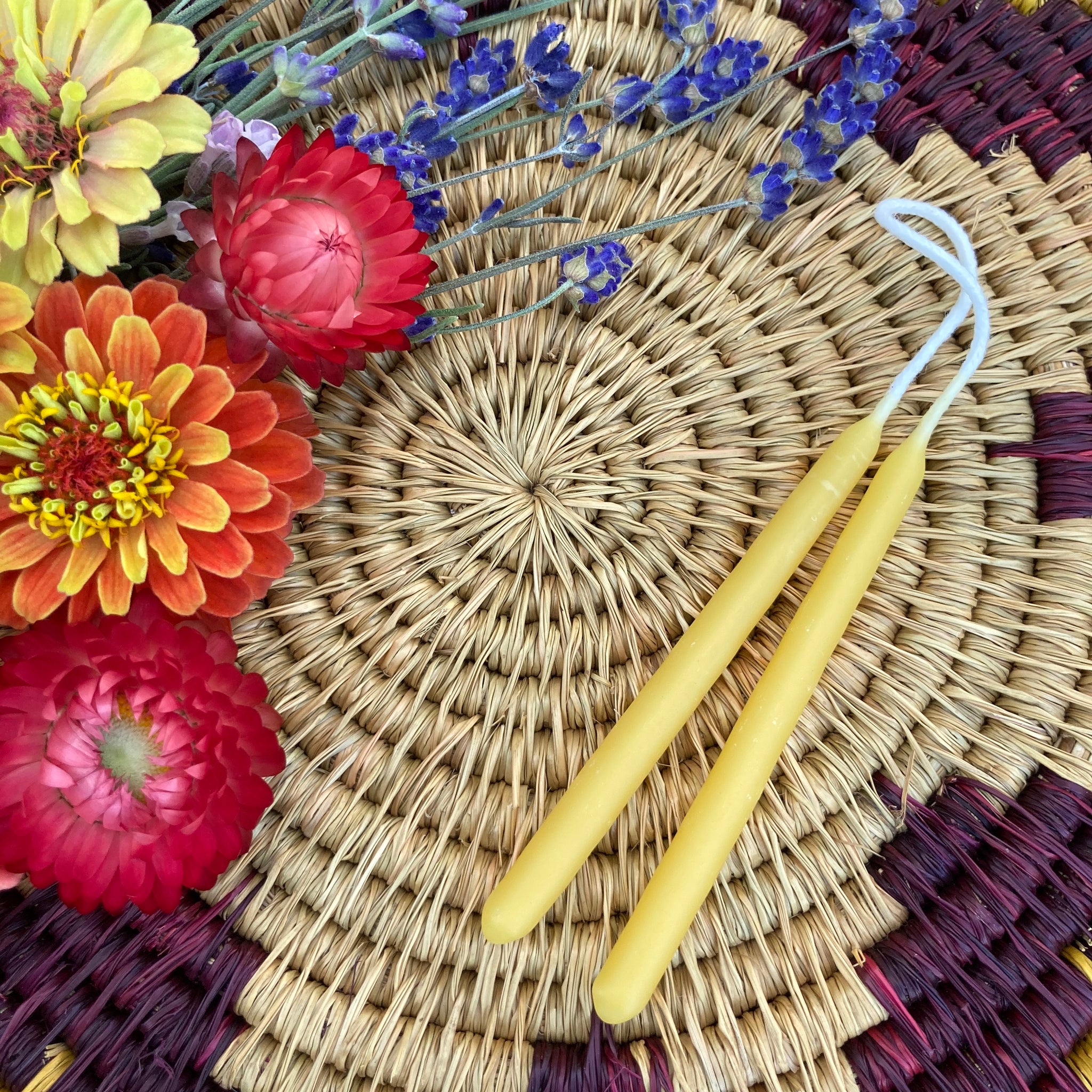 Ritual or Birthday 3" Beeswax Candles