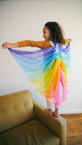 Rainbow Fairy Wings