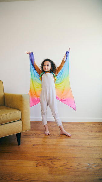 Rainbow Fairy Wings