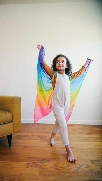 Rainbow Fairy Wings