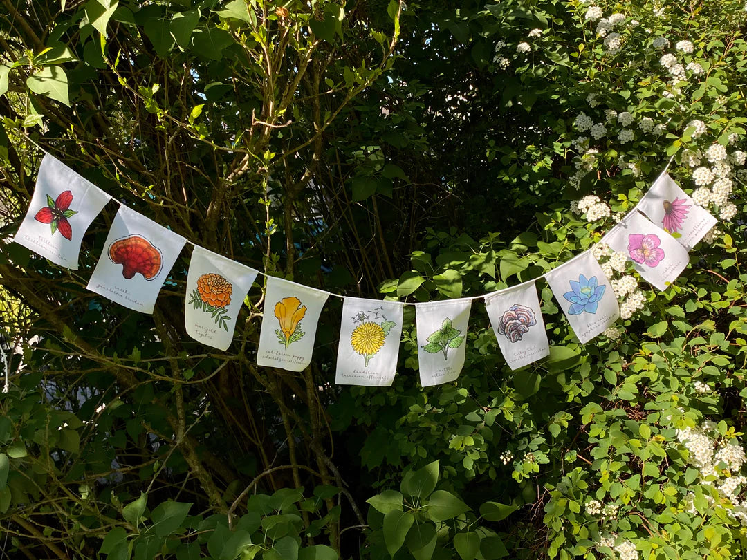 Rainbow Herbs Prayer Flags