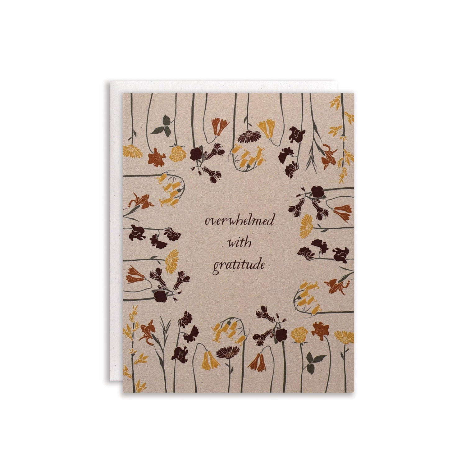 Overwhelmed With Gratitude Cards / Boxed Set of 8