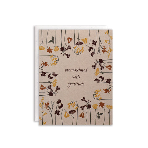 Overwhelmed With Gratitude Cards / Boxed Set of 8