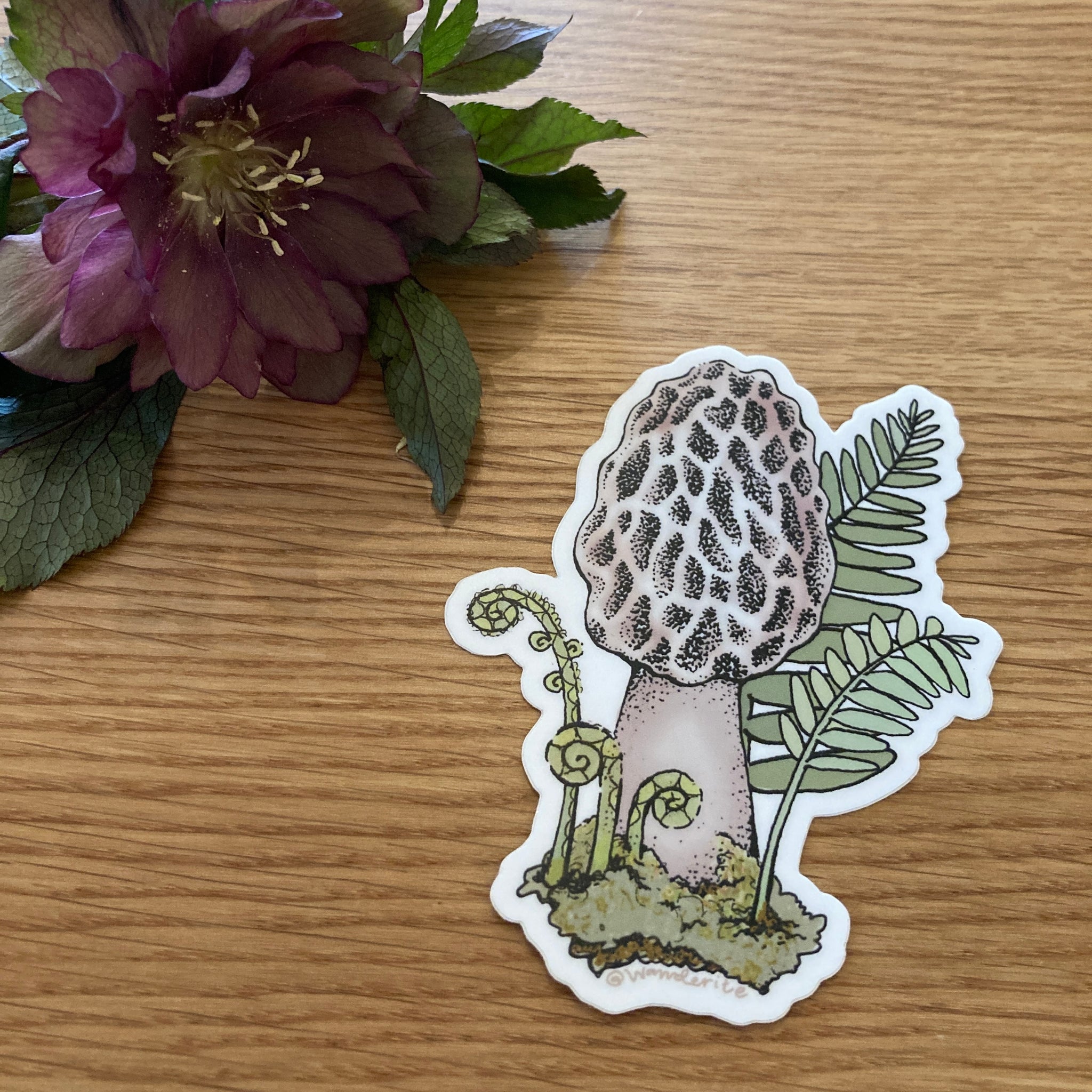 Morel Mushroom Sticker