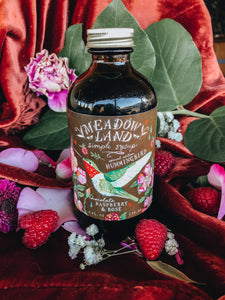 Chocolate Hummingbird Simple Syrup